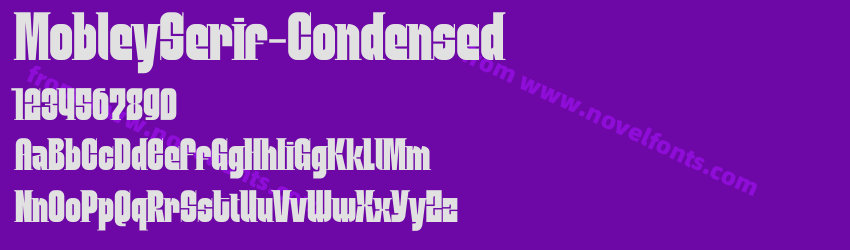 MobleySerif-CondensedPreview