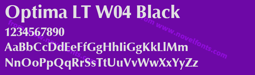Optima LT W04 BlackPreview Optima LT W04 BlackPreview