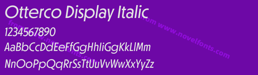 Otterco Display ItalicPreview Otterco Display ItalicPreview