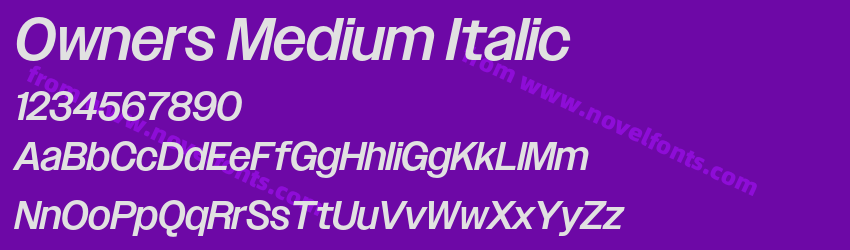 Owners Medium ItalicPreview