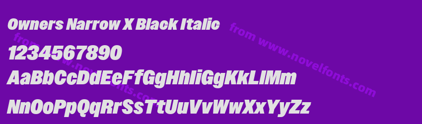 Owners Narrow X Black ItalicPreview