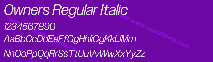 Owners Regular ItalicPreview