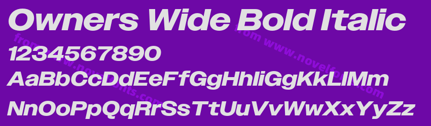 Owners Wide Bold ItalicPreview