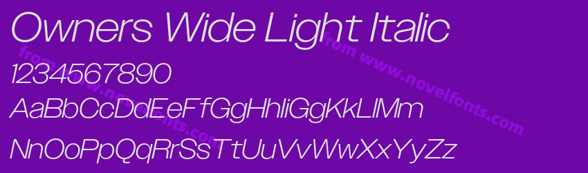 Owners Wide Light ItalicPreview