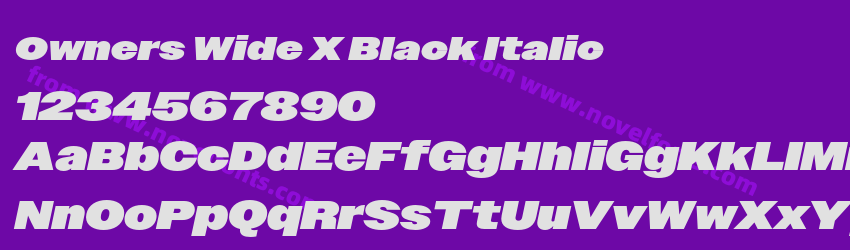 Owners Wide X Black ItalicPreview