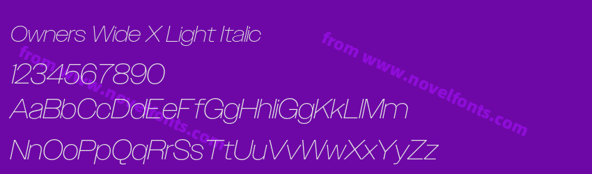 Owners Wide X Light ItalicPreview