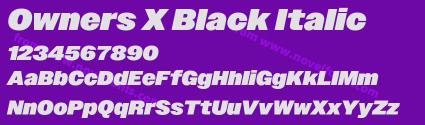 Owners X Black ItalicPreview
