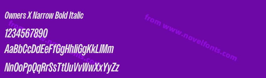 Owners X Narrow Bold ItalicPreview