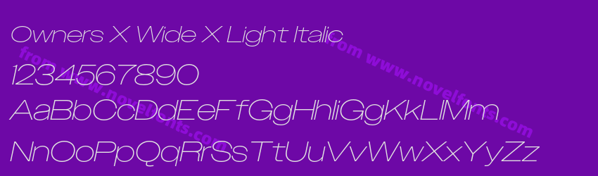 Owners X Wide X Light ItalicPreview