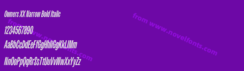 Owners XX Narrow Bold ItalicPreview