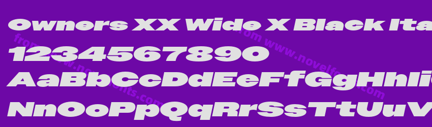 Owners XX Wide X Black ItalicPreview