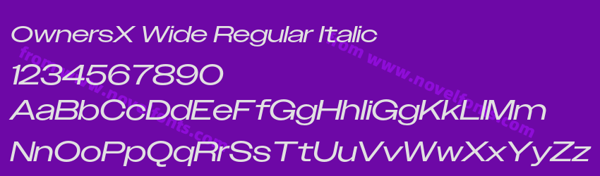 OwnersX Wide Regular ItalicPreview