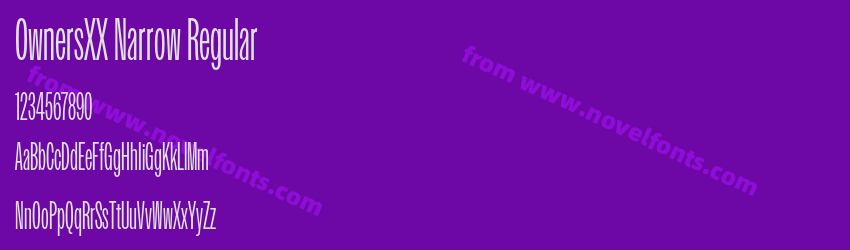 OwnersXX Narrow RegularPreview