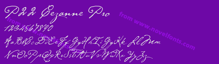 P22 Cezanne ProPreview P22 Cezanne ProPreview