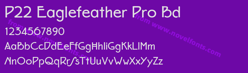 P22 Eaglefeather Pro BdPreview P22 Eaglefeather Pro BdPreview