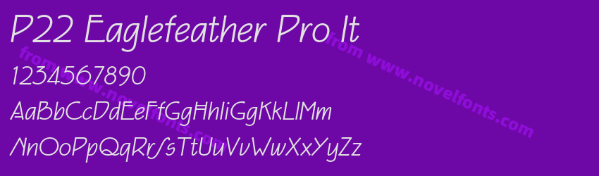 P22 Eaglefeather Pro ItPreview P22 Eaglefeather Pro ItPreview