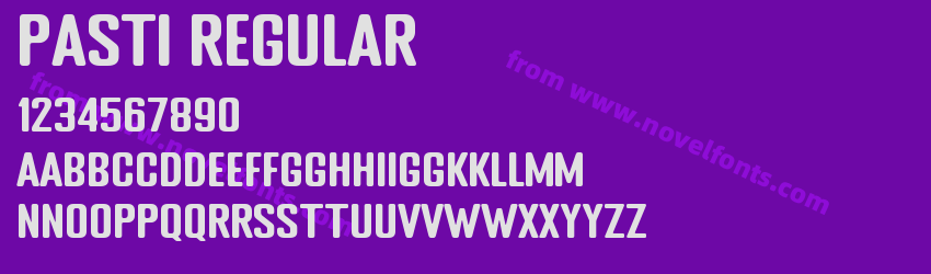 PASTI RegularPreview PASTI RegularPreview
