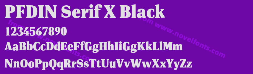 PFDIN Serif X BlackPreview PFDIN Serif X BlackPreview