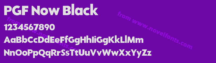 PGF Now BlackPreview PGF Now BlackPreview