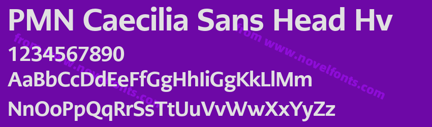 PMN Caecilia Sans Head HvPreview PMN Caecilia Sans Head HvPreview