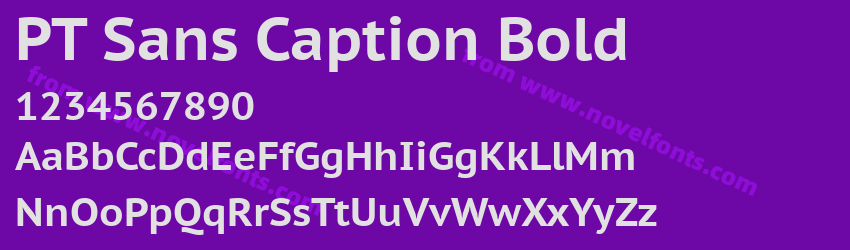 PT Sans Caption BoldPreview PT Sans Caption BoldPreview
