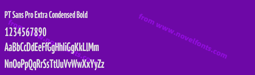 PT Sans Pro Extra Condensed BoldPreview PT Sans Pro Extra Condensed BoldPreview