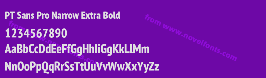 PT Sans Pro Narrow Extra BoldPreview PT Sans Pro Narrow Extra BoldPreview