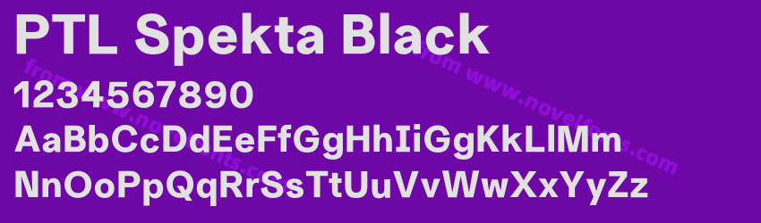 PTL Spekta BlackPreview PTL Spekta BlackPreview