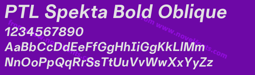 PTL Spekta Bold ObliquePreview PTL Spekta Bold ObliquePreview