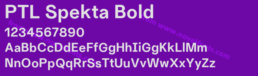 PTL Spekta BoldPreview PTL Spekta BoldPreview