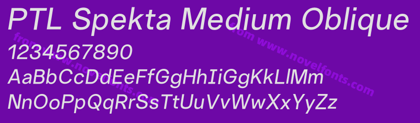 PTL Spekta Medium ObliquePreview PTL Spekta Medium ObliquePreview