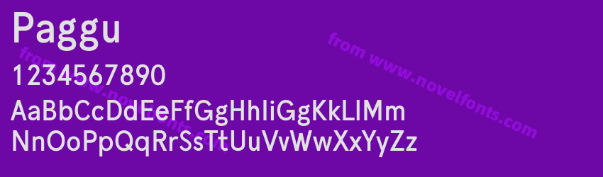 PagguPreview PagguPreview