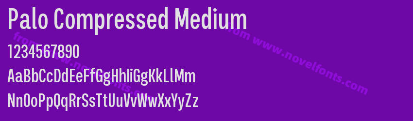 Palo Compressed MediumPreview Palo Compressed MediumPreview