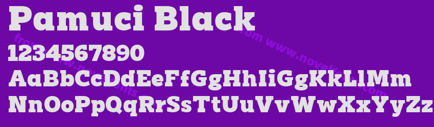 Pamuci BlackPreview Pamuci BlackPreview