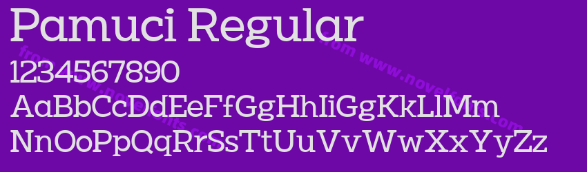 Pamuci RegularPreview Pamuci RegularPreview