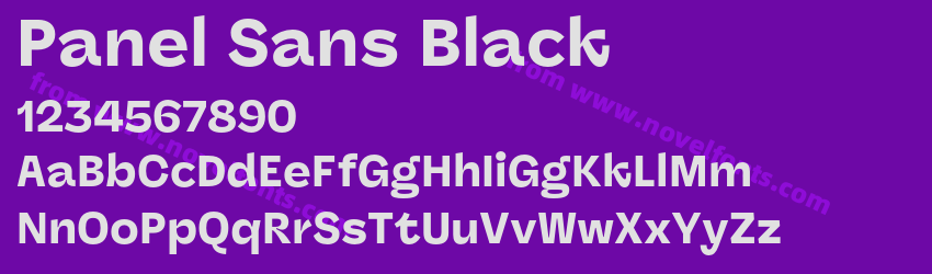 Panel Sans BlackPreview Panel Sans BlackPreview