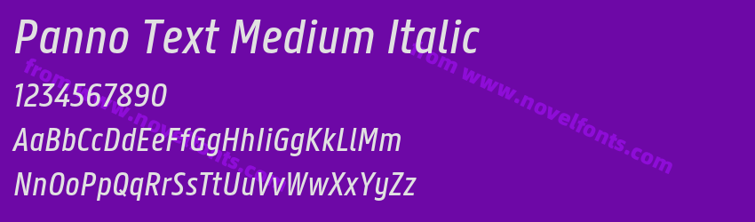 Panno Text Medium ItalicPreview Panno Text Medium ItalicPreview