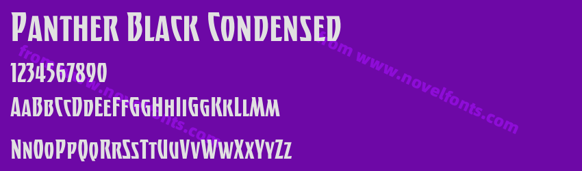 Panther Black CondensedPreview Panther Black CondensedPreview