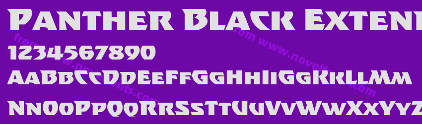 Panther Black ExtendedPreview Panther Black ExtendedPreview