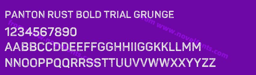 Panton Rust Bold Trial GrungePreview Panton Rust Bold Trial GrungePreview