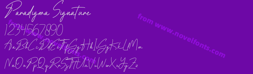 Paradigma SignaturePreview Paradigma SignaturePreview