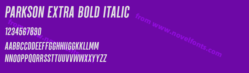 Parkson Extra Bold ItalicPreview Parkson Extra Bold ItalicPreview