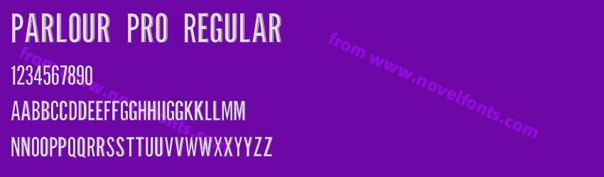 Parlour Pro RegularPreview Parlour Pro RegularPreview