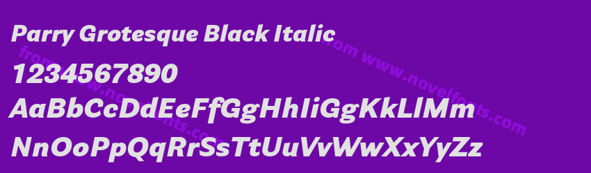 Parry Grotesque Black ItalicPreview Parry Grotesque Black ItalicPreview