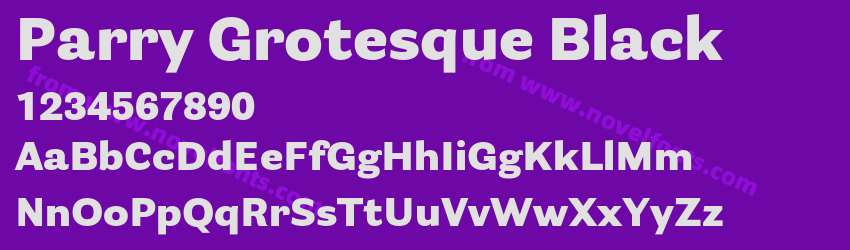 Parry Grotesque BlackPreview Parry Grotesque BlackPreview