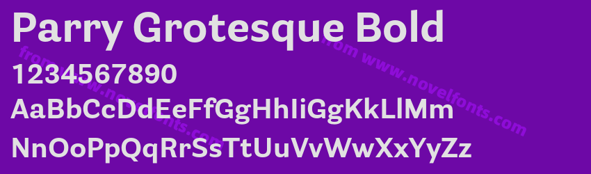 Parry Grotesque BoldPreview Parry Grotesque BoldPreview