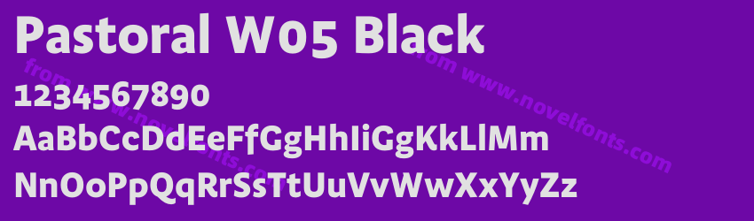Pastoral W05 BlackPreview Pastoral W05 BlackPreview