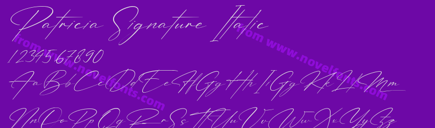 Patricia Signature ItalicPreview Patricia Signature ItalicPreview
