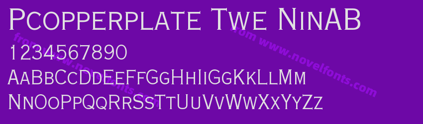 Pcopperplate Twe NinABPreview Pcopperplate Twe NinABPreview