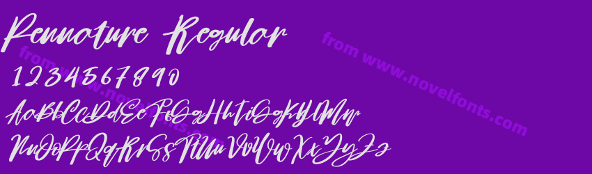Pennature RegularPreview Pennature RegularPreview